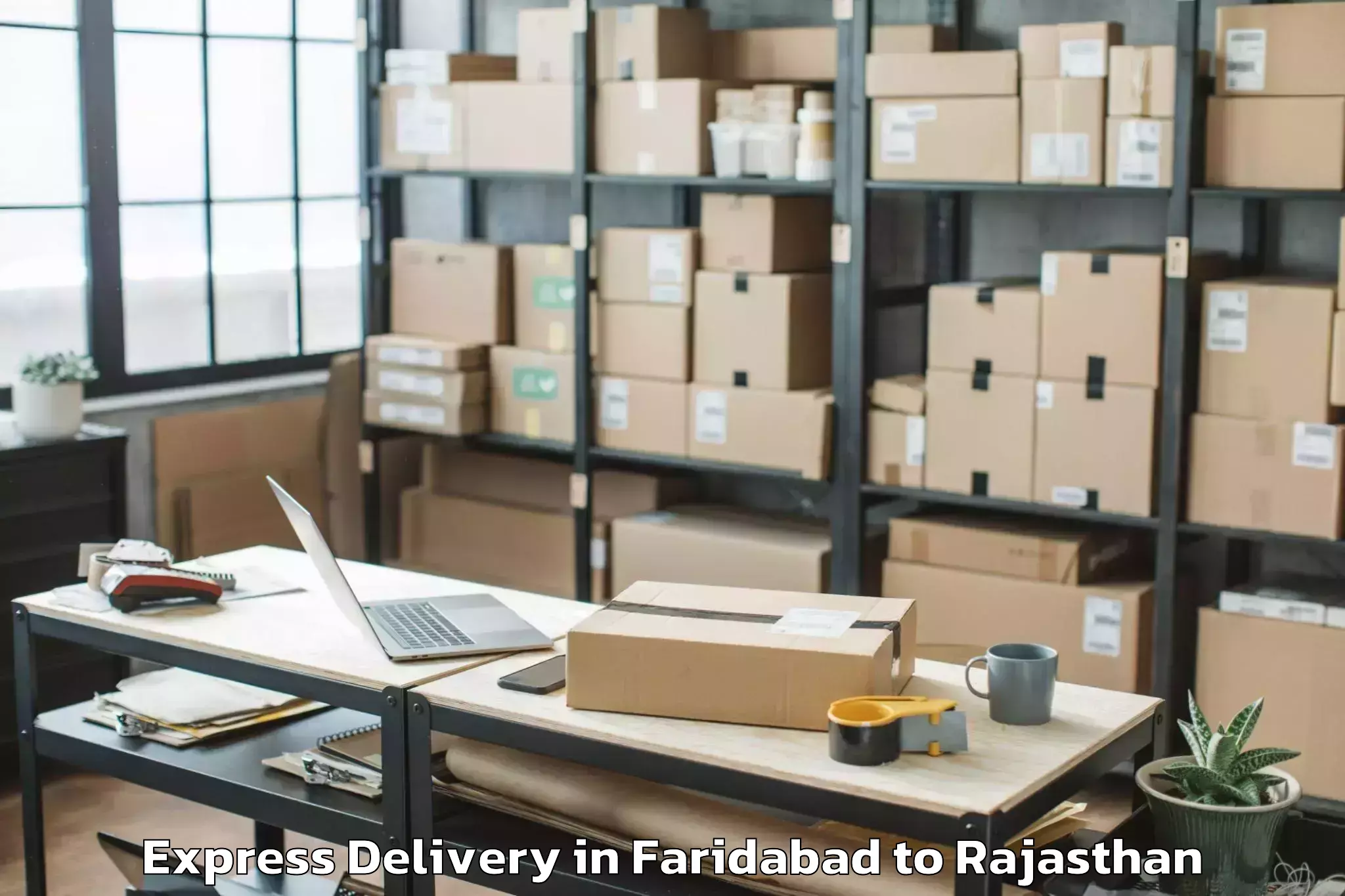 Leading Faridabad to Pali Express Delivery Provider